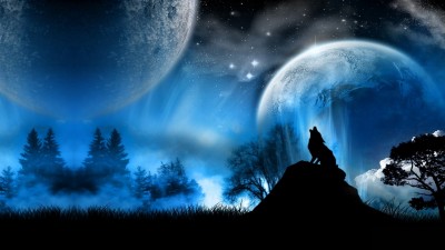 گرگ-شب-آسمان-آبی-طرح گرافیکی-هنری و نقاشی